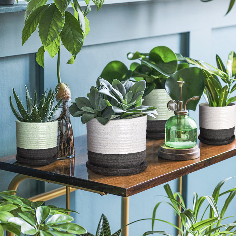 Rona Ceramic Plant Pots With Trays Small And Medium & Reviews Wayfair.ca